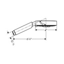 Hansgrohe 04341000 Raindance S 100 3 Jet Handshower Chrome 2