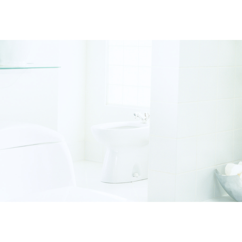 TOTO BT500B12 Piedmont Bidet Vertical Spray 4