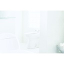 TOTO BT500B12 Piedmont Bidet Vertical Spray 4
