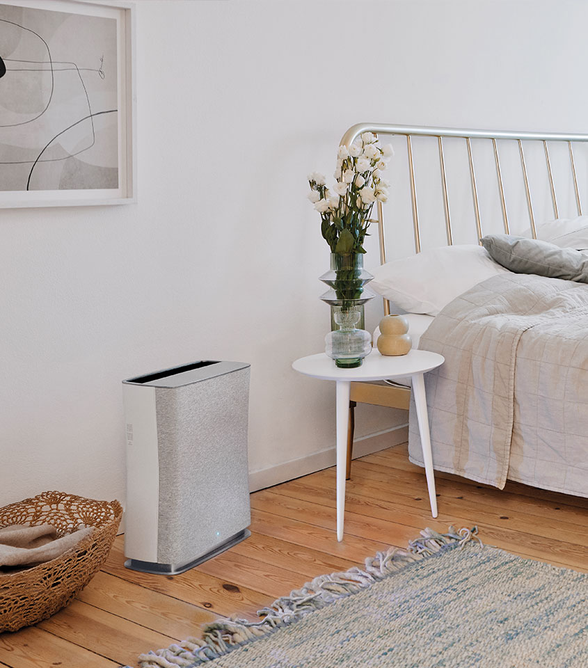 Stadler Form R-012 Roger Little Air Purifier