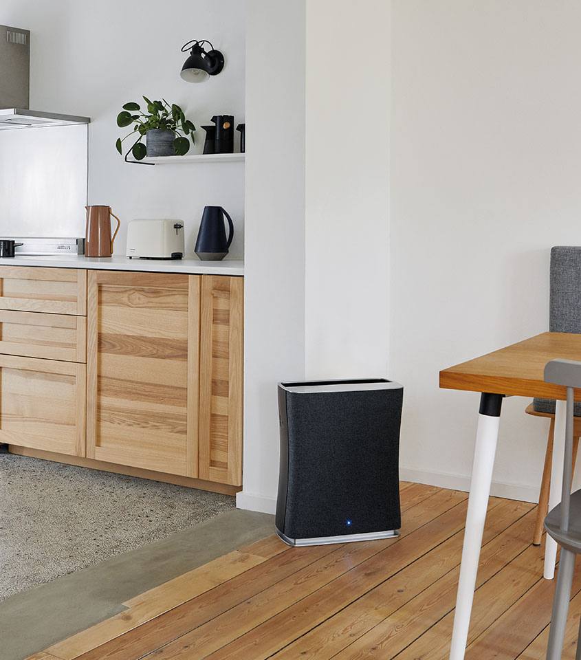 Stadler Form R-011 Roger Air Purifier