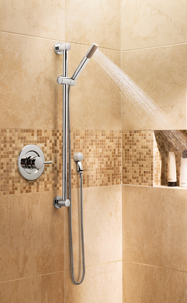 Moen 3887EPBN Eco-Performance Modern 1F Hh W/Sldbr Bn