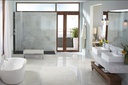 Moen 6190BN Align 1H1H Standard Lavatory Bn