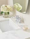 Moen 6802BN Dartmoor 2H Cs Bn