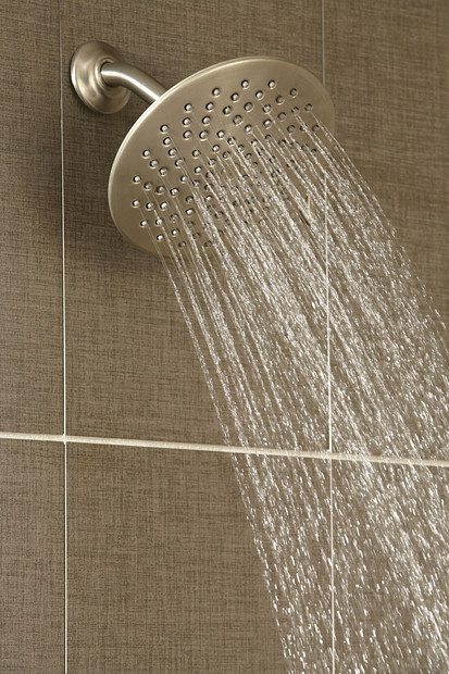 Moen S6320BN Mf Rainshower Bn