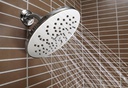 Moen S6360BN 8" Flat Rainshower Bn