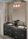 Moen S6700BN 90 Degree Lavatory Sgl Mnt Bn
