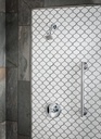 Moen T2153BN Brantford Posi T/S Bn