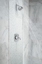 Moen T2693BN Voss Posi Tub/Shr Trim Bn