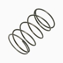 Sloan DO-7**5337039 Piston Spring For Dolphin