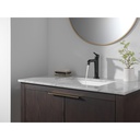 Delta 15849LF-BL Single-Hole Bathroom Faucet 1L