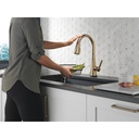 Delta 19802TZ-CZ-DST Touch2O Pull-Down Kitchen Faucet 1L