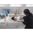 Delta 2390L-CZ-DST Broderick Pull-Down Bridge Kit W/Shieldspray 2L 