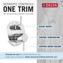 Delta 342702 Raincan Shower Rough & Trim W/ Hs 1L 14S