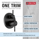 Delta 342702-BL Raincan Shower Rough & Trim W/ Hs 1L 14S