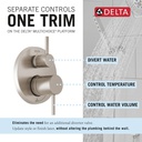 Delta 342702-SP Raincan Shower Rough & Trim W/ Hs 1L 14S