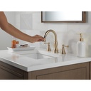 Delta 3597-CZPD-DST Cassidy Two Handle Widespread Pull Down Bathroom