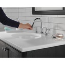 Delta 3597-PD-DST Cassidy Two Handle Widespread Pull Down Bathroom