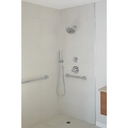 Delta 50560-PR Wall Elbow For Hand Shower