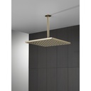 Delta 52159-PN-PR Raincan Single-Setting 12" Metal