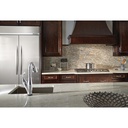 Delta 1165LF Pot Filler Faucet Wall Mount Chrome