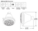 Delta 52634-15-BG Water Efficient Showerhead 