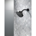 Delta 52663-BL 5-Setting H2Okinetic Shower Head 