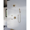 Delta 52663-CZ 5-Setting H2Okinetic Shower Head 