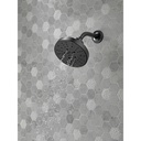 Delta 52668-BL 5-Setting H2Okinetic Round Cont Raincan