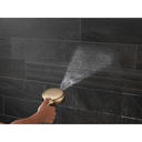Delta 55884-CZ-PR 7-Setting Cleaning Wall Mount Hand Showe