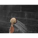 Delta 55884-CZ-PR 7-Setting Cleaning Wall Mount Hand Showe