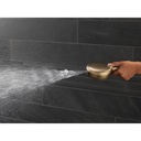 Delta 55884-CZ-PR 7-Setting Cleaning Wall Mount Hand Showe