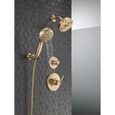 Delta 55884-CZ-PR 7-Setting Cleaning Wall Mount Hand Showe