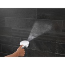 Delta 55884-PR 7-Setting Cleaning Wall Mount Hand Showe