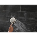 Delta 55884-SS-PR 7-Setting Cleaning Wall Mount Hand Showe