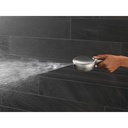Delta 55884-SS-PR 7-Setting Cleaning Wall Mount Hand Showe