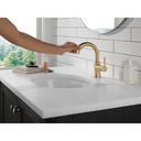 Delta 559HAR-CZPD-DST Trinsic Single Handle Pull Down Bathroom Faucet