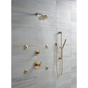 Delta 57085-CZ Trinsic Hand Shower Slide Bar Champagne Bronze