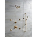 Delta 57085-CZ Trinsic Hand Shower Slide Bar Champagne Bronze