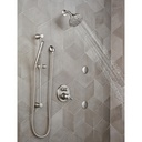Delta 57085-SS Trinsic Grail: Slide Bar Handshower 
