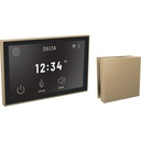 Delta 5CH-550L-CZ-PR Steamscape Linear Square Deluxe Package Champagne Bronze