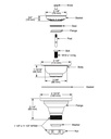 Delta 72010-CZ Kitchen Sink Flange & Strainer 