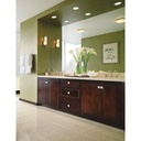 Delta 73824-SS Lahara 24 Inch Towel Bar 