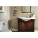 Delta 73846-SS Lahara Towel Ring 
