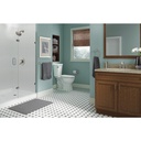 Delta 73850-SS Lahara Tissue Holder 
