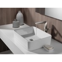 Delta 743-SS-PR-DST Vessel Single Handle Faucet
