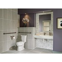 Delta 79760-RB Cassidy Tank Lever Standard Handle