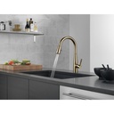 Delta 9113-CZ-DST Single Handle Pull-Down Kitchen Faucet Cz