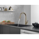 Delta 9113-CZ-DST Single Handle Pull-Down Kitchen Faucet Cz
