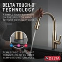 Delta 9113T-CZ-DST Single Handle Pull-Down Kitchen Faucet With Touch2O Cz
